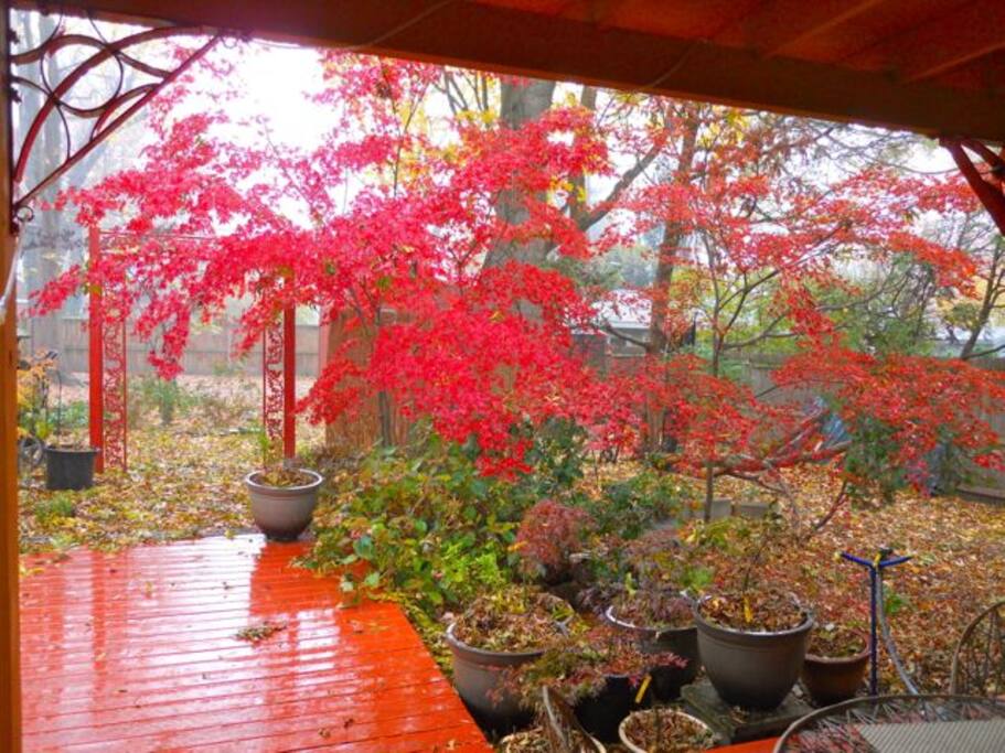 Beautiful, even in the rain….