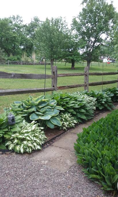 Pathway to garden
