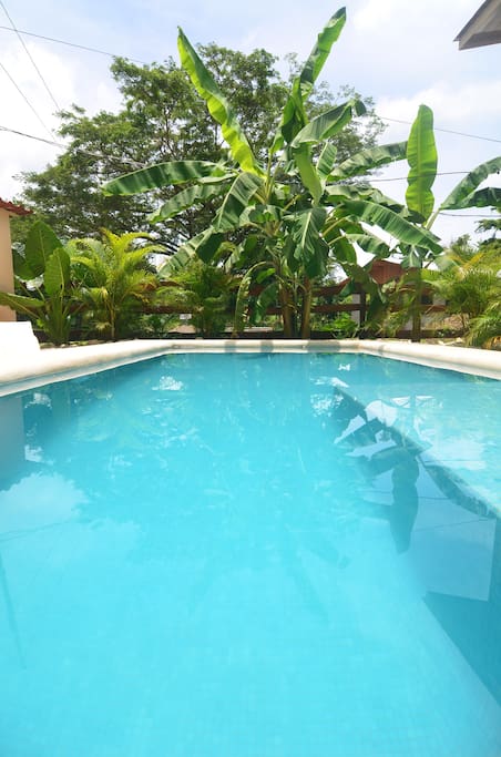 pool shared with casa mono