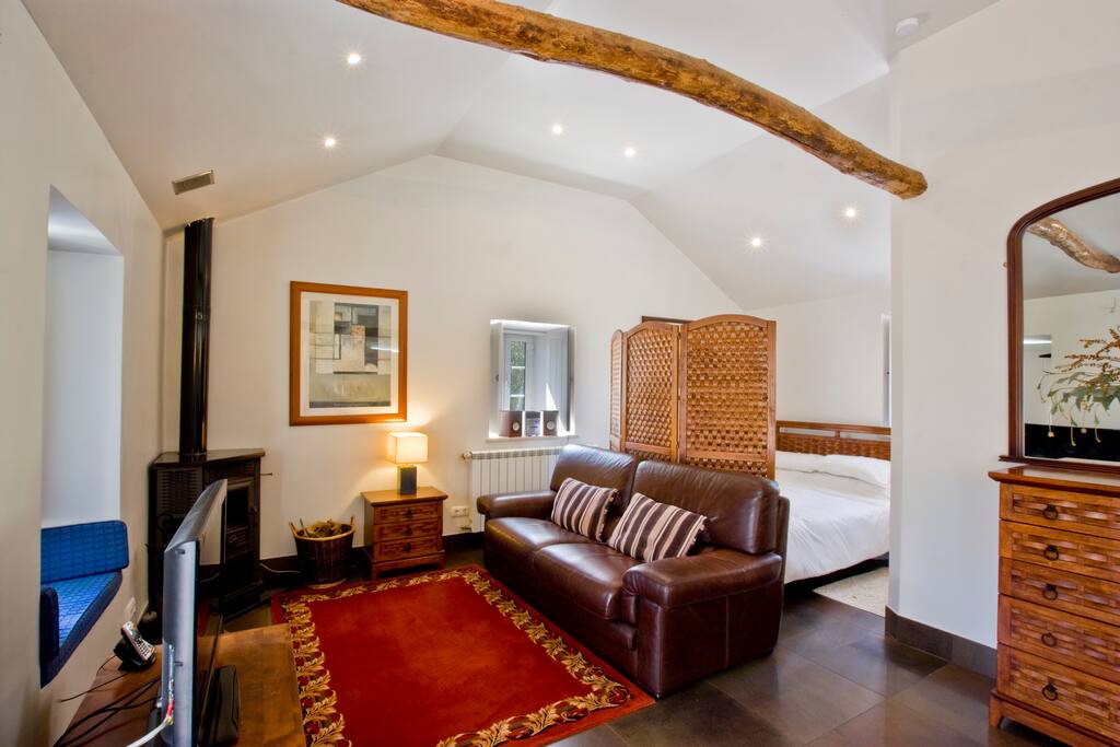 Lounge with traditional log burner.