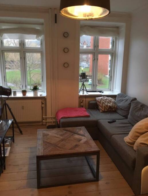 Living room with a sofa bed. Place for two