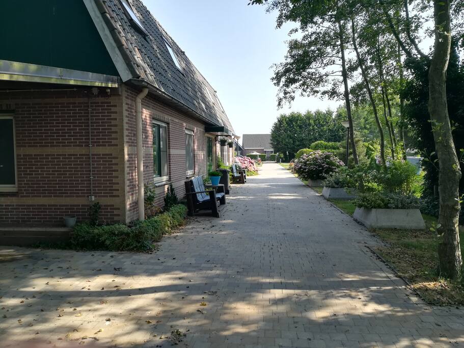 DRIVEWAY / GARDEN
