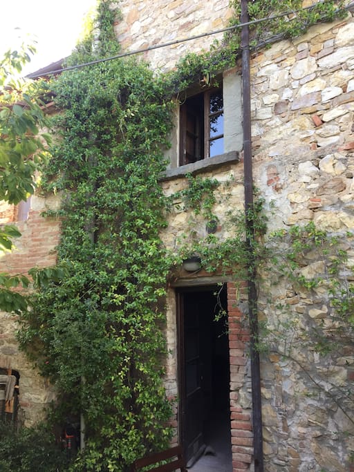 The back entrance