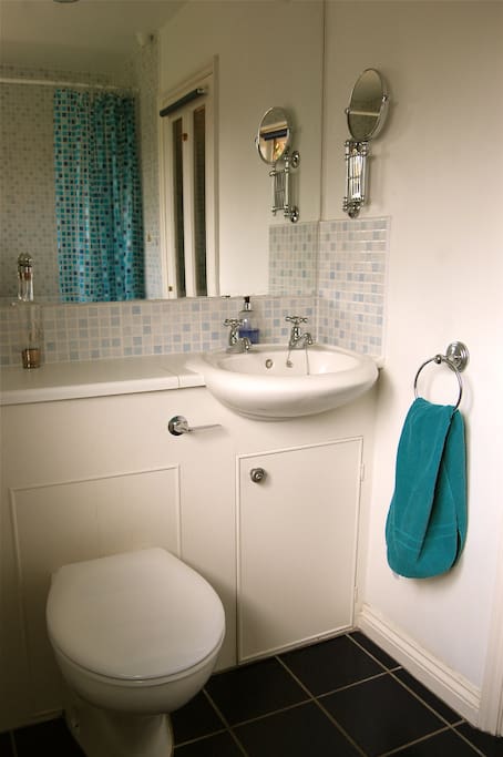 Shared bathroom with shower.