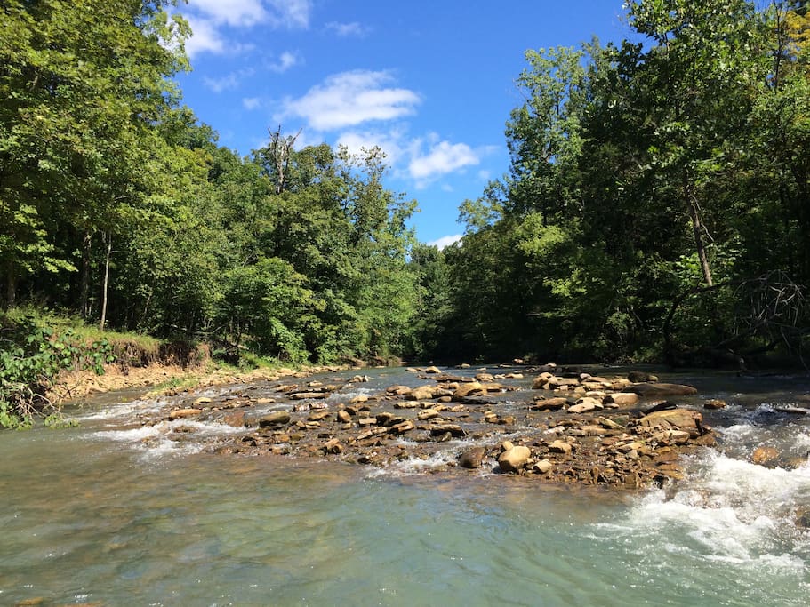 This is the creek that runs along the property.
