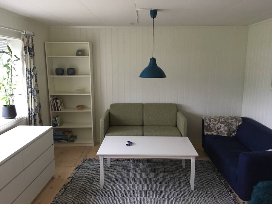 Sofakrok med sovesofa (grønn) og utsikt mot fjorden. Bokhylla er leilighetens underholdningsavdeling med ulike bøker og spill.