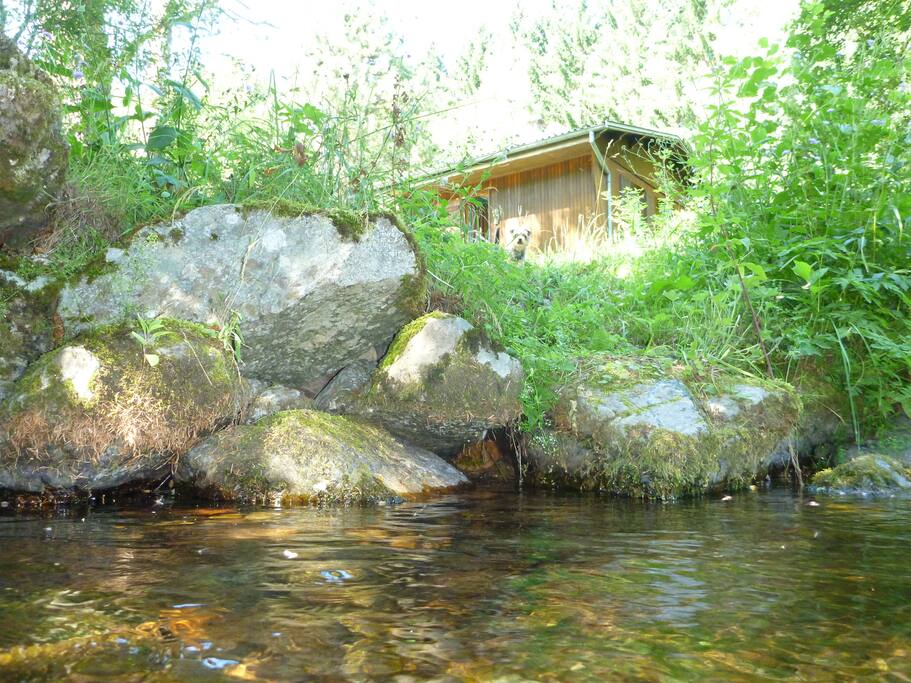 Rivière pour se rafraichir, jouxtant la propriété.