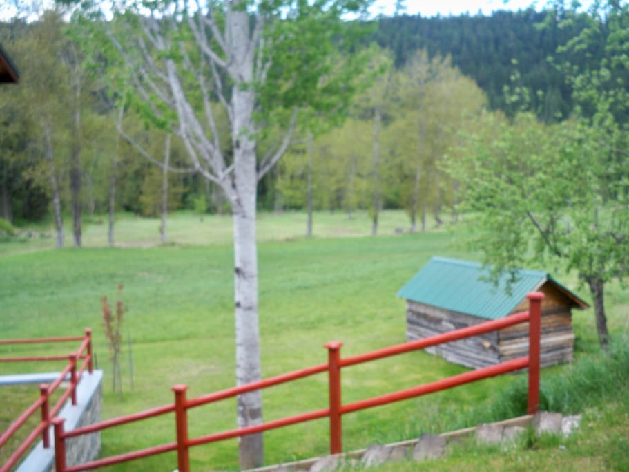 View of back meadow