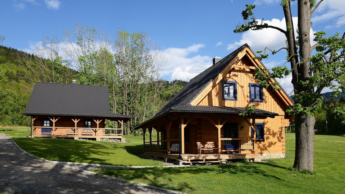 Two wooden chalets are positioned in a green landscape, featuring large porches with wooden railings. One chalet has a gabled roof and multiple windows, while the other is a single-story structure. Surrounding trees and a clear sky contribute to the serene environment.