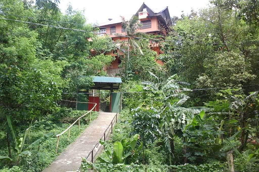 Photo of the House from the road