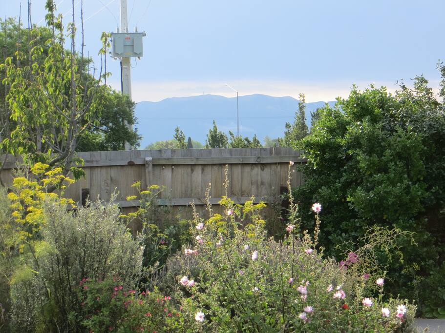 sit in garden with wine and watch sunset