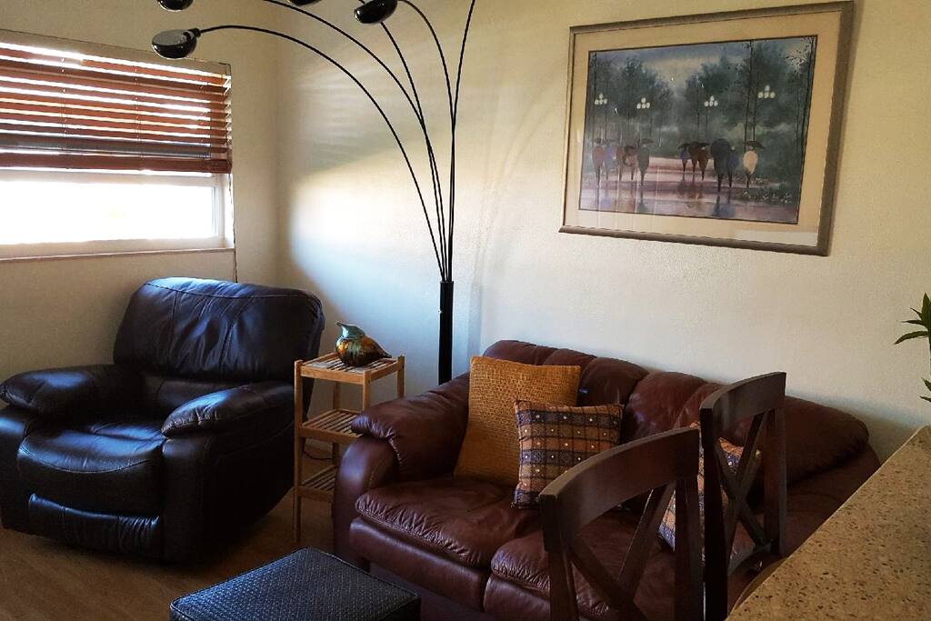 Comfortable leather furniture to relax indoors.