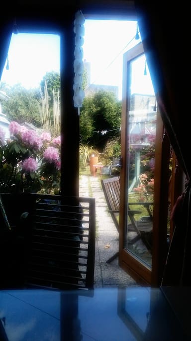 Lovely garden in the sunshine ??