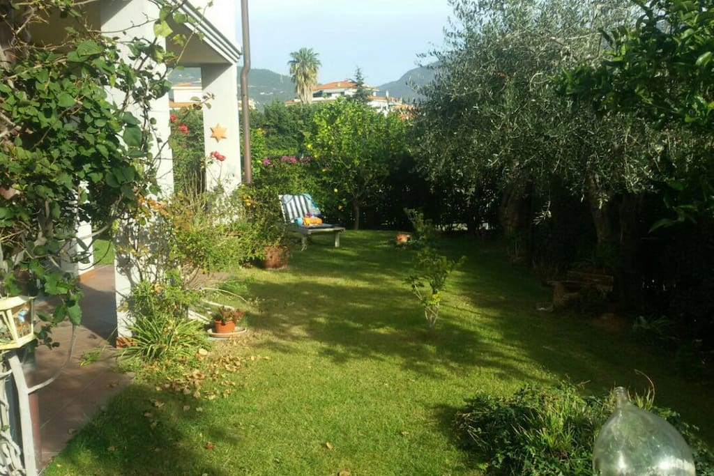 panoramica sul giardino