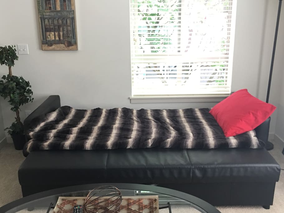 Converts to sleeping bed