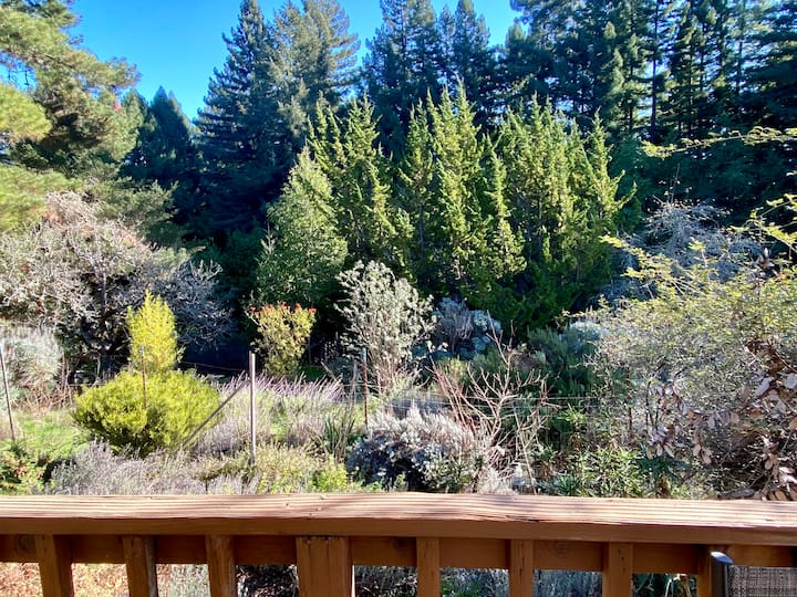 Occidental Vacation Rentals & Homes California, United States Airbnb