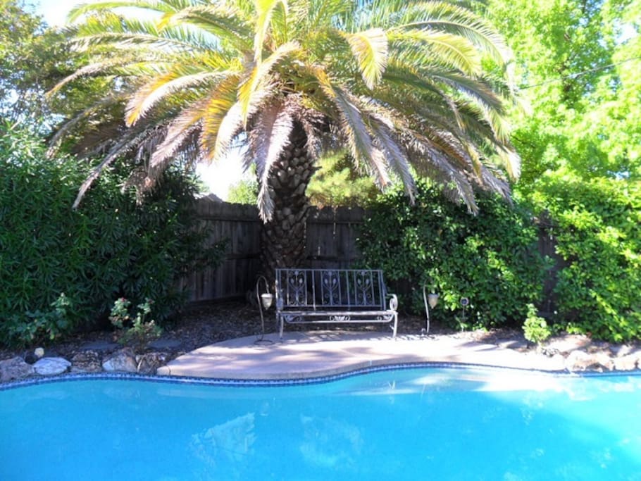 Great swimming pool!