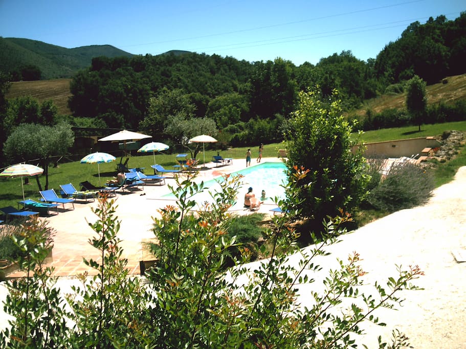 la piscina con il grande giardino intorno