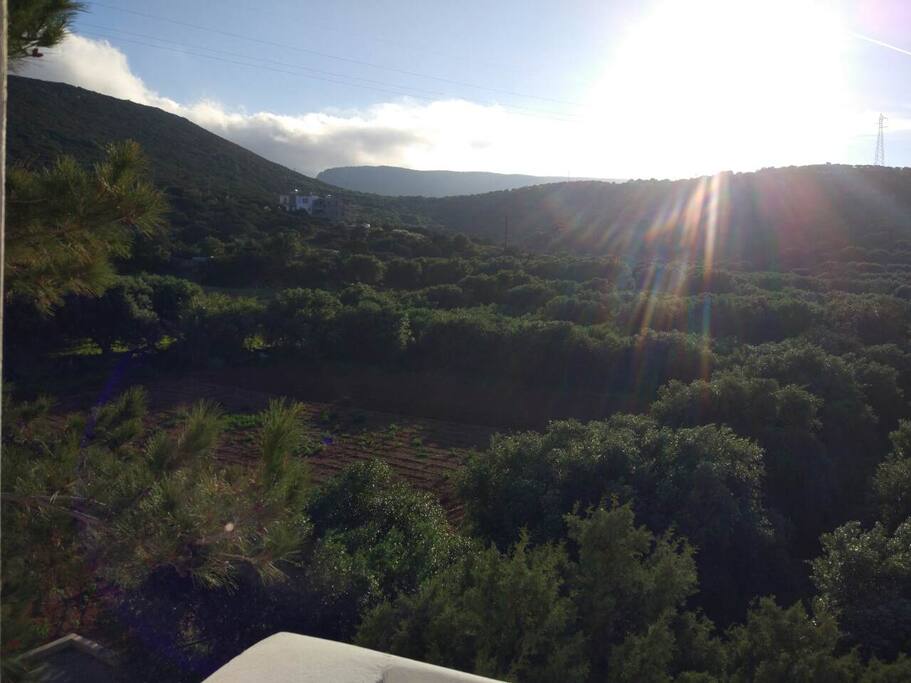 View to the mountains behind of the house