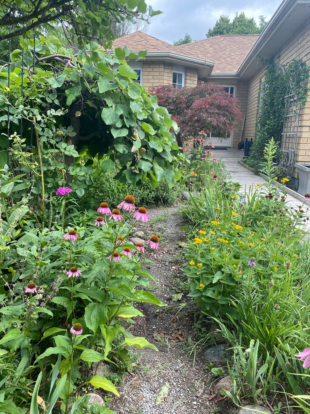 Wild Divine Sanctuary Garden