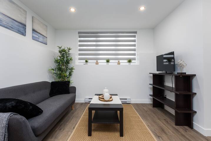 Brand new home near U of M