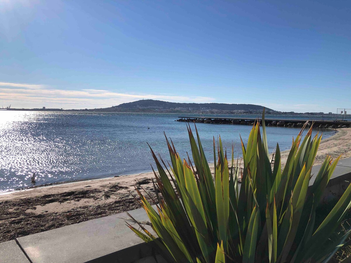 A tranquil view of the beach showcases calm waters glimmering under the sunlight, with a distant hill visible beyond the shoreline. Lush green plants frame the foreground, adding a touch of nature to the serene coastal scene.