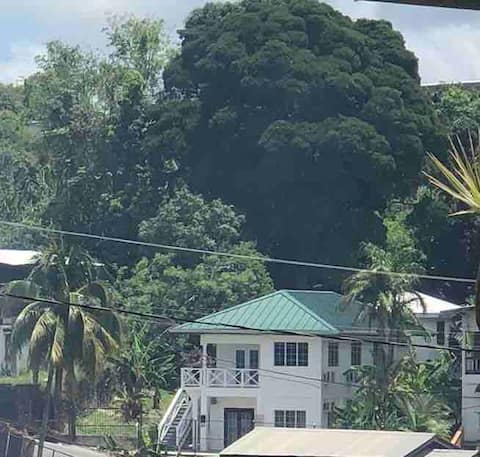 Balata Tree House - City house in tropical garden