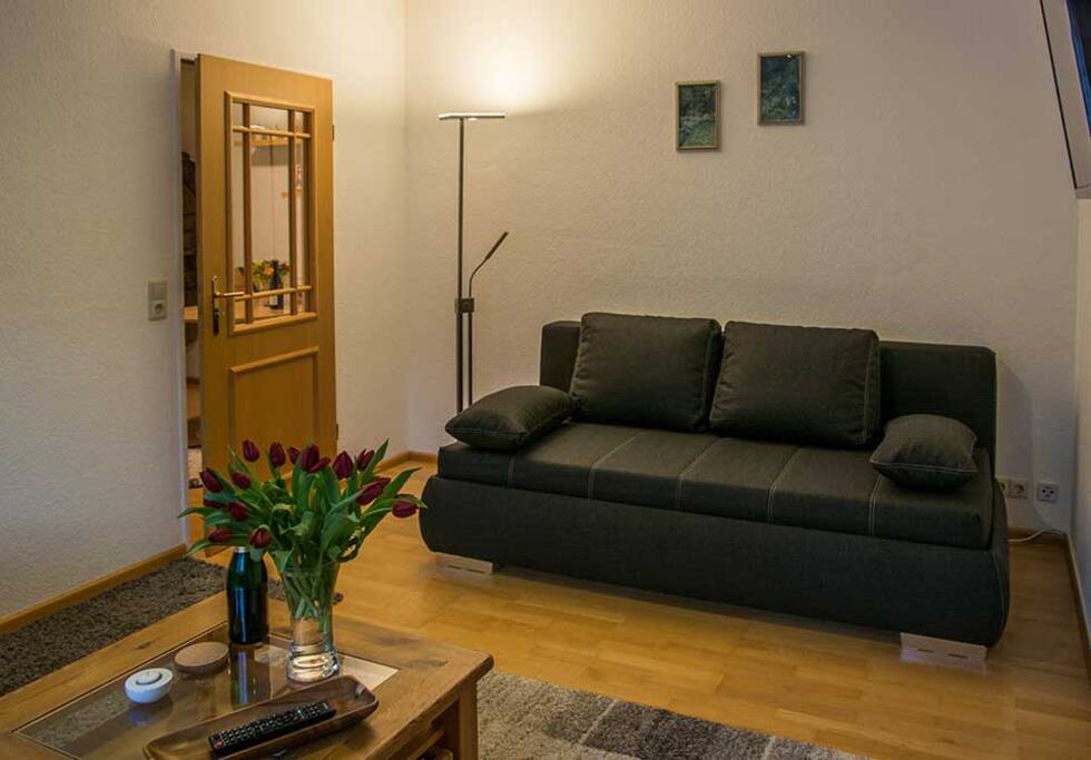 Das Schlafsofa im Wohnzimmer