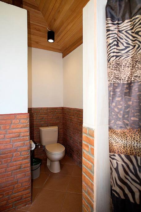 Western Toilet
