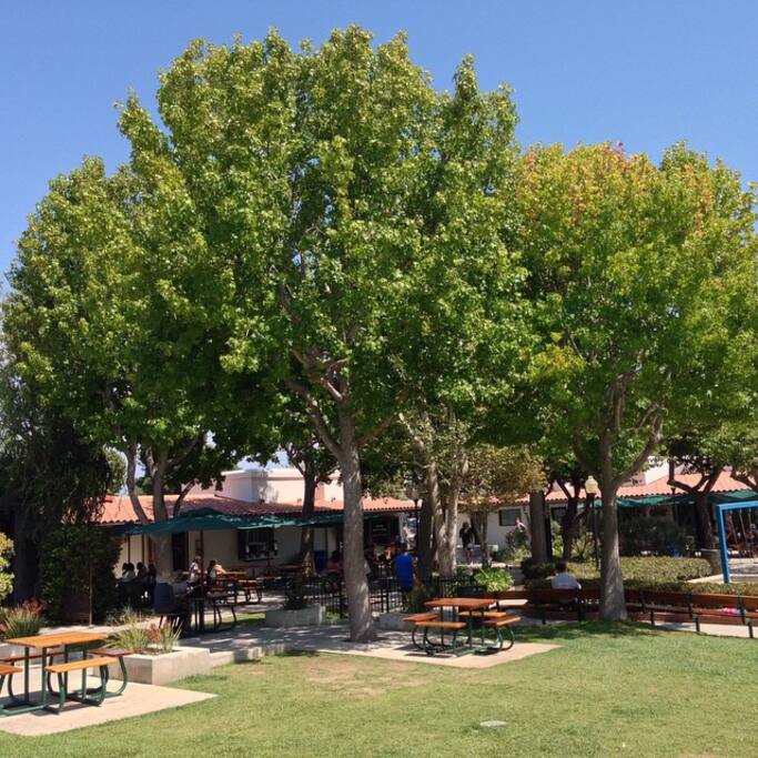 Photo of John's Garden