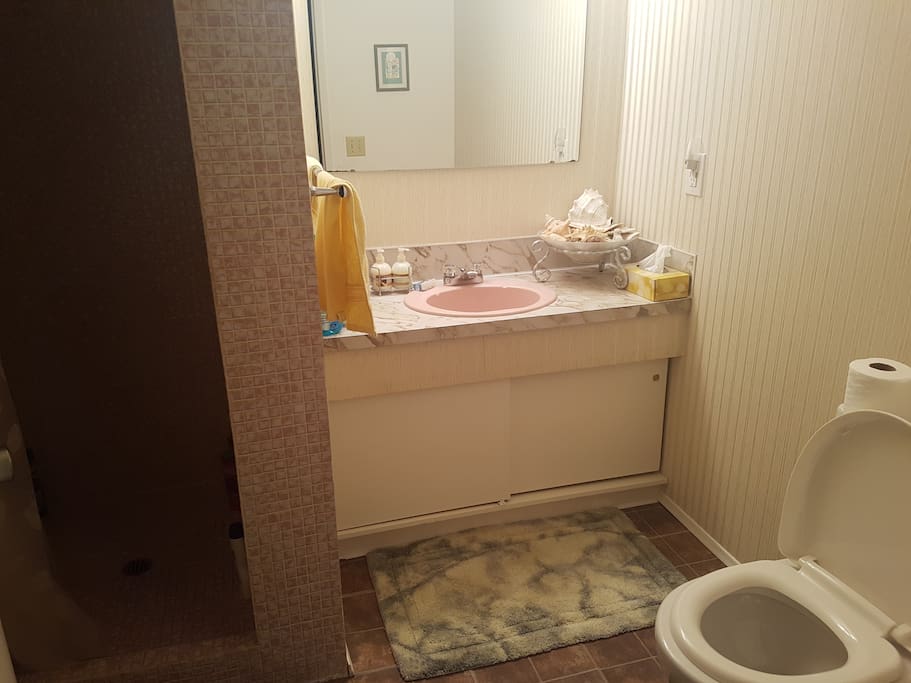 basement 3 piece private bathroom