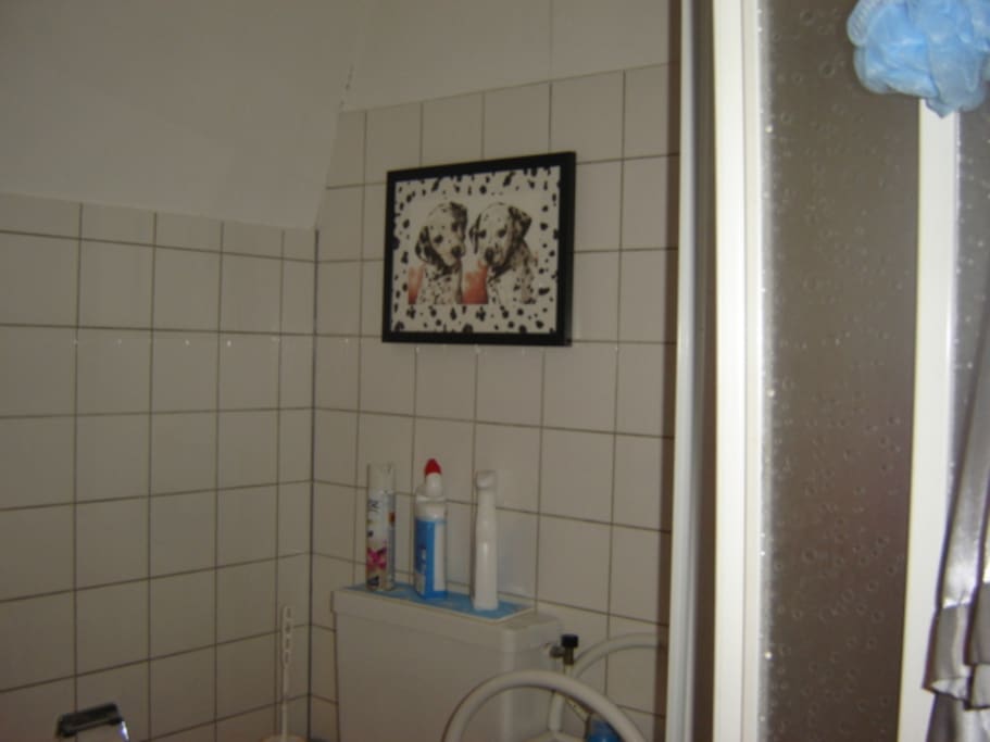 Bathroom/Toilet upstairs