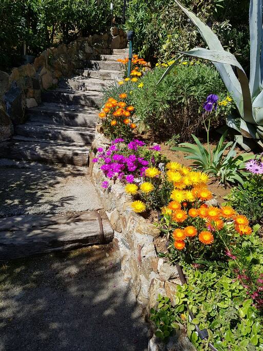 des fleurs lumineuses.