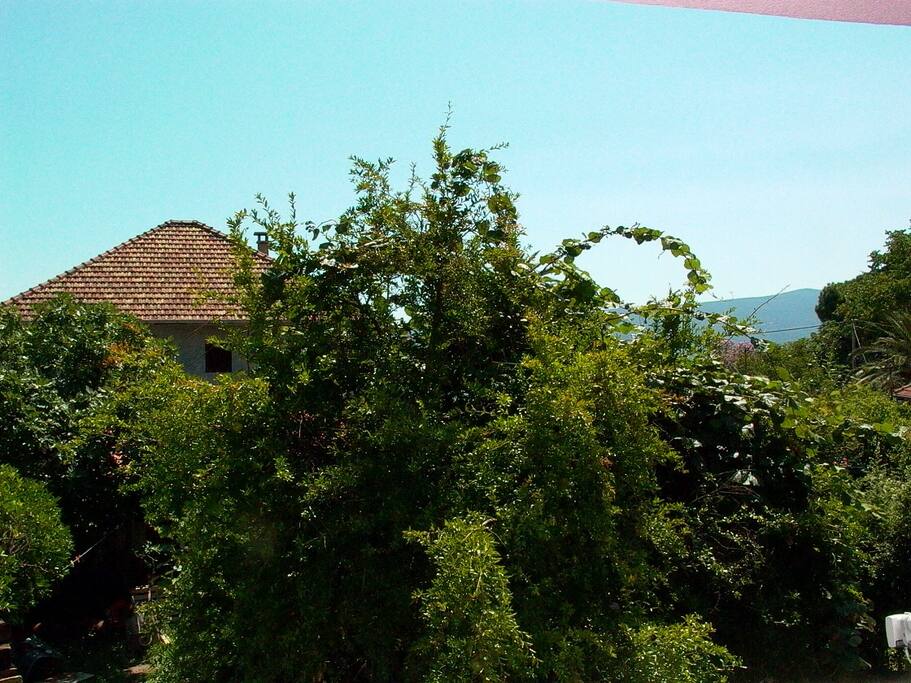 View from the open terrace