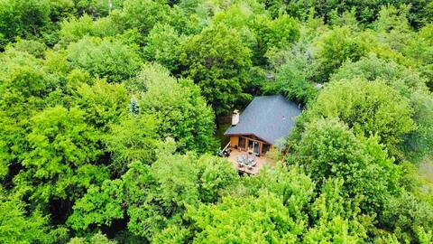 Friends and Family Getaway in Pocono Mountains