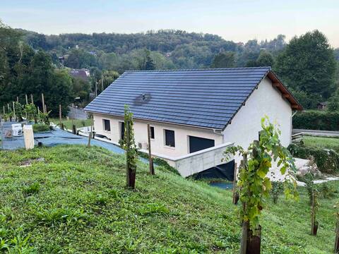 The lake villa