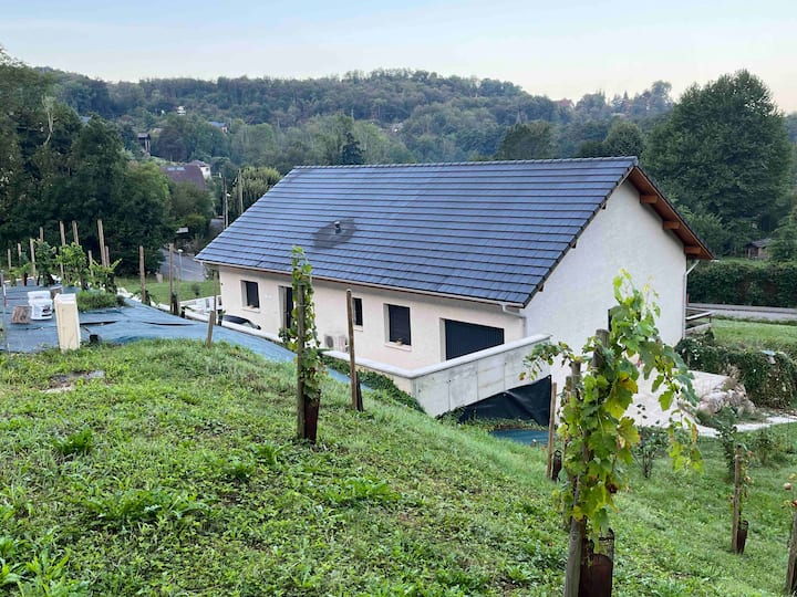 The lake villa