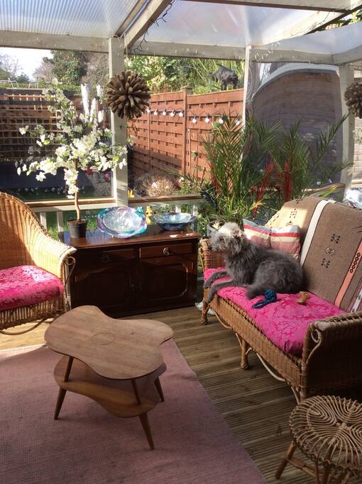 'Jeff' the dog sunning himself on the veranda.
