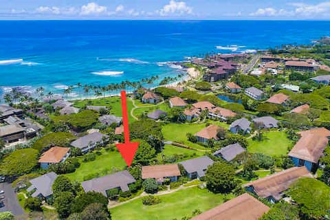 Sunny Side Waves-A/C-BEACHFRONT-POOL-PLANTATION