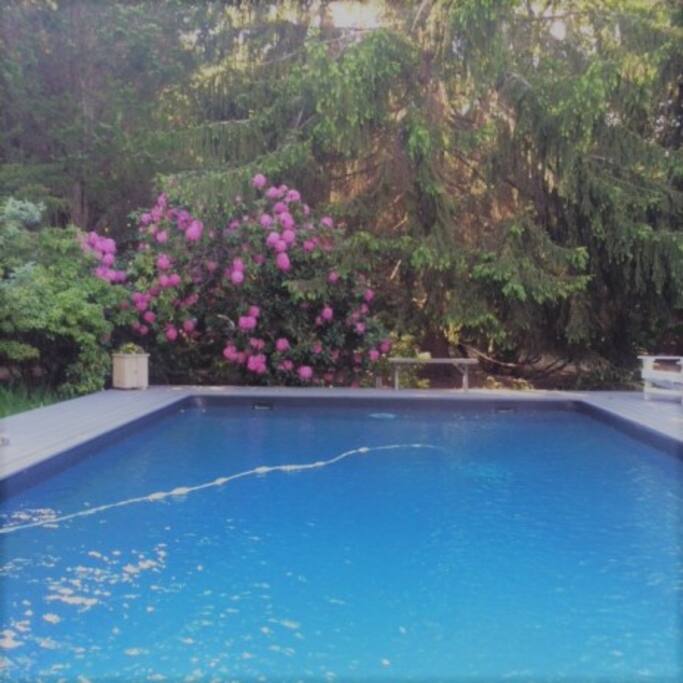 The pool in spring