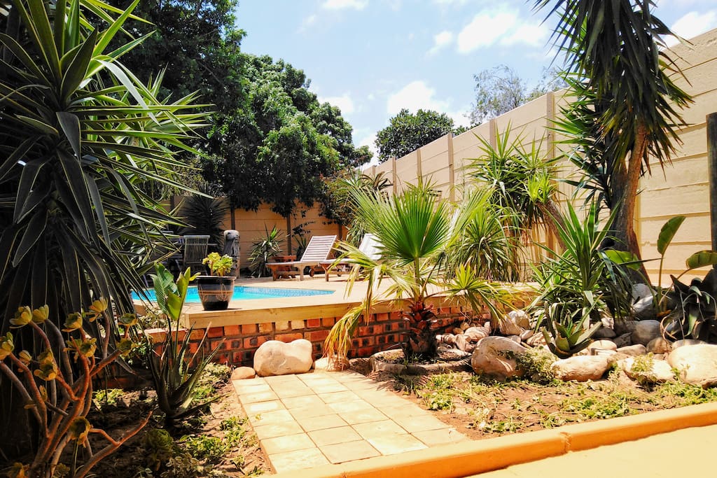 Garden and Pool