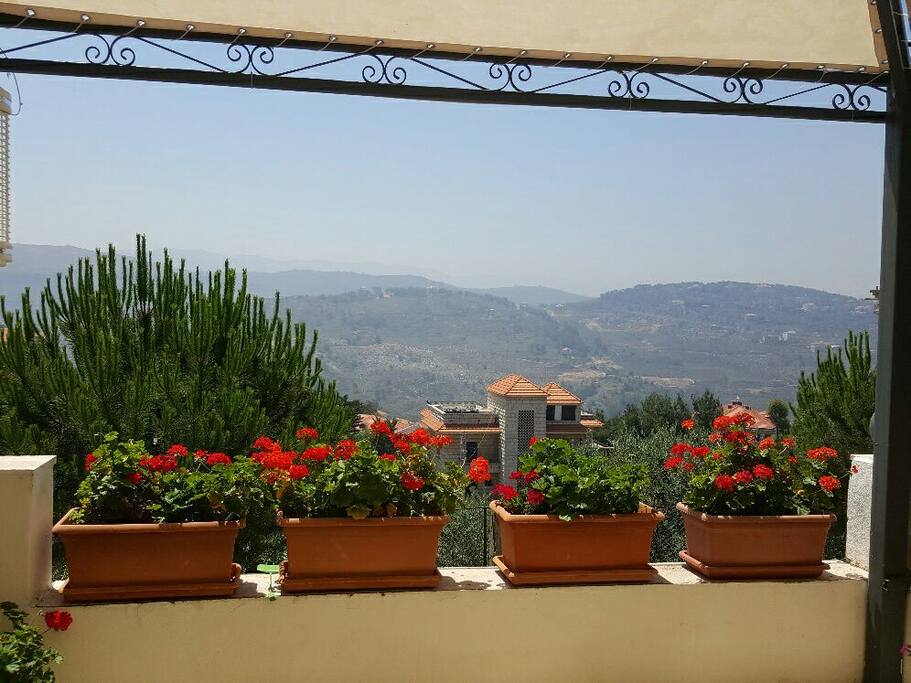 The relaxing view