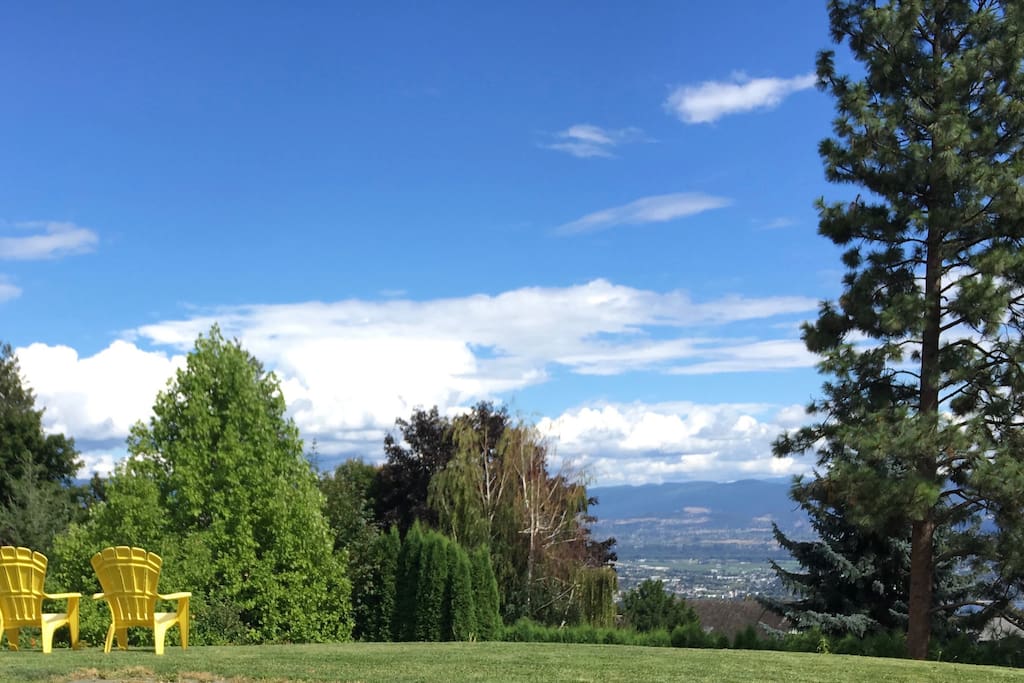 Backyard Views