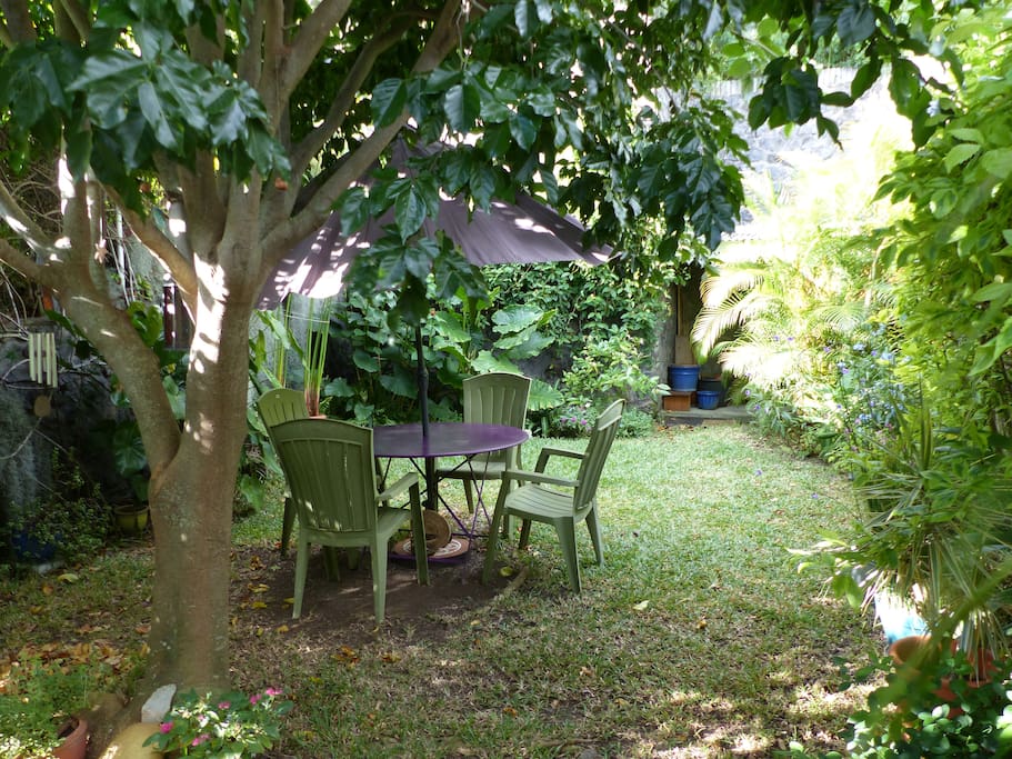jardin