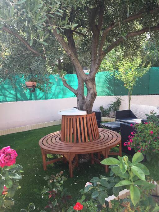 Jardin 1