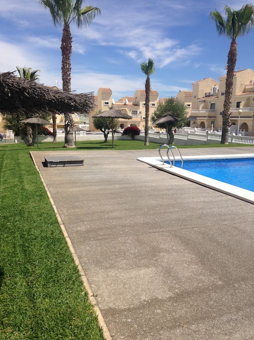 pelouse piscine