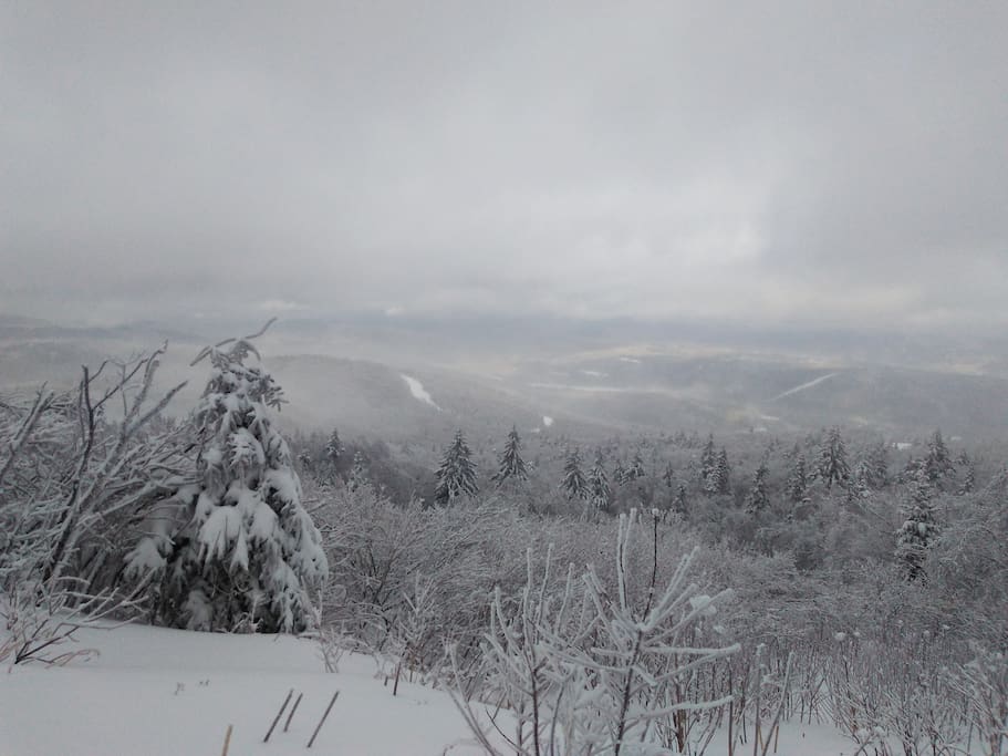 Nearby skiing