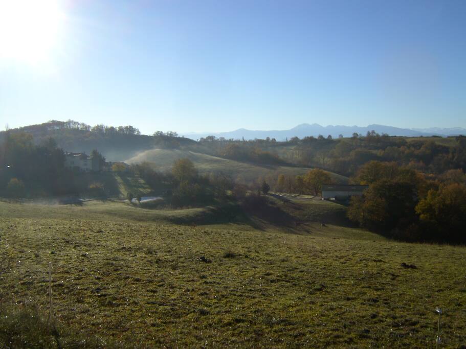 En automne