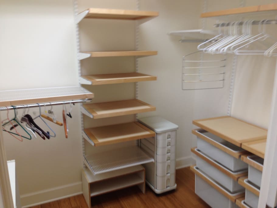 Spacious Closet in Master