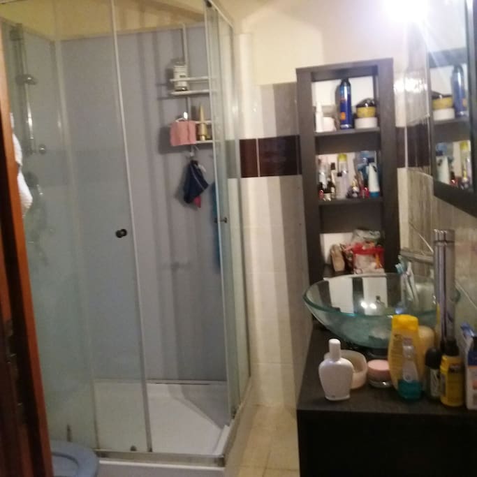 Douche + toilettes attenants à la chambre